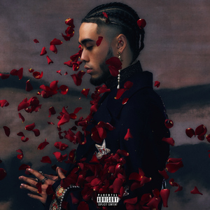 中文字幕网在线
