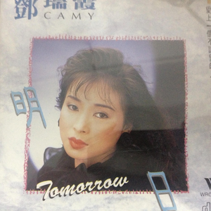 温柔的巨乳寡妇
