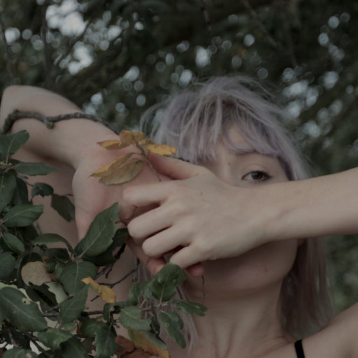 腹肌小奶狗导管视频大全
